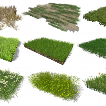 Modern The Grass-ID:451014046