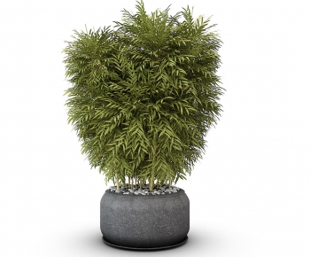 Modern Potted Green Plant-ID:130408057