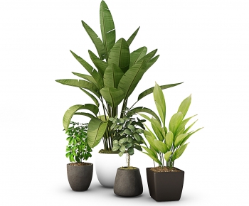 Modern Potted Green Plant-ID:616240986