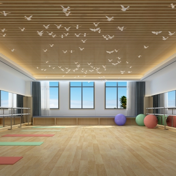 Modern Yoga Room-ID:290004974