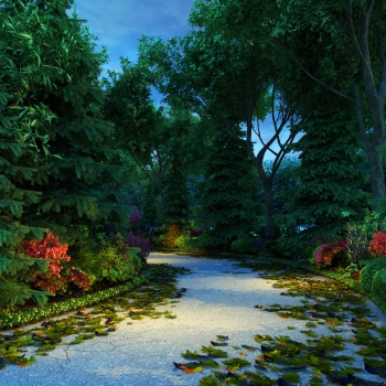 Modern Garden Landscape-ID:883183961