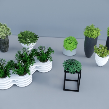 Modern Potted Green Plant-ID:806779954