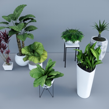 Modern Potted Green Plant-ID:677318106