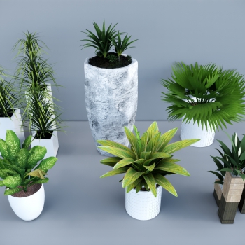 Modern Potted Green Plant-ID:841188915