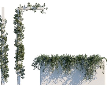 现代绿植縢蔓络石藤 植物墙3D模型