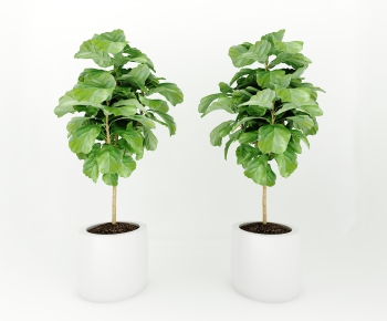 Modern Potted Green Plant-ID:475950966