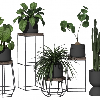 Modern Potted Green Plant-ID:264568098