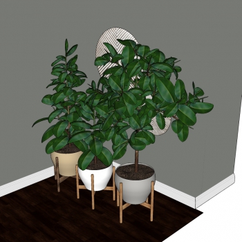 Modern Potted Green Plant-ID:464939126