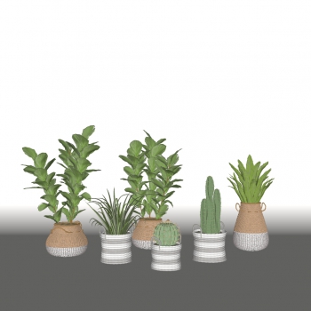 Modern Potted Green Plant-ID:252604013