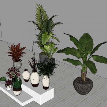 Modern Potted Green Plant-ID:778206117