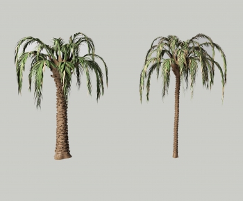 现代棕榈树组合-ID:152672056