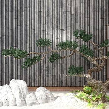 Chinese Style Garden-ID:473599916