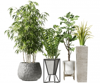 Modern Potted Green Plant-ID:804075961