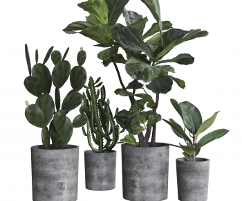 Modern Potted Green Plant-ID:565990928
