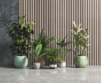 Modern Potted Green Plant-ID:513320928