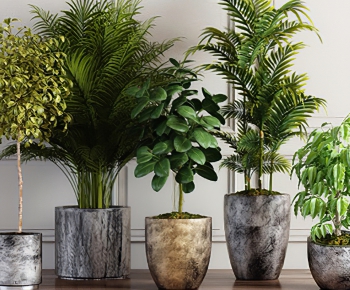 Modern Potted Green Plant-ID:847320634