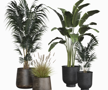 Modern Potted Green Plant-ID:559542895