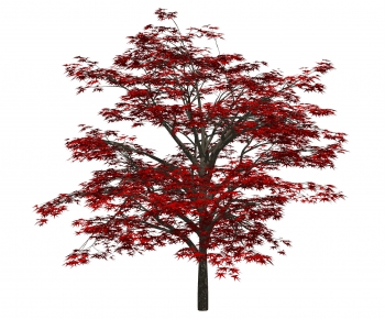 Modern Tree-ID:641805894