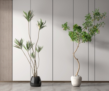 Modern Potted Green Plant-ID:814495098