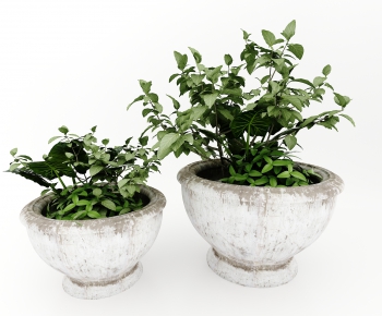 Modern Potted Green Plant-ID:157052993