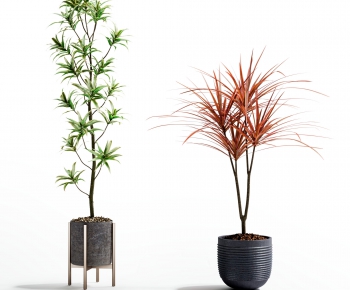 Modern Potted Green Plant-ID:695080047