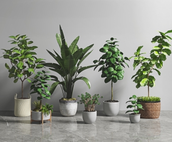 Modern Potted Green Plant-ID:934711932