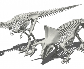 现代恐龙化石 恐龙骨架-ID:490824946