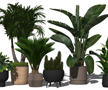 Modern Potted Green Plant-ID:342365035