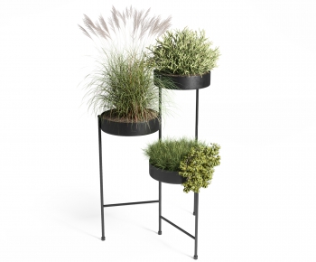 Modern Potted Green Plant-ID:508866074
