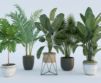 Modern Potted Green Plant-ID:688244105