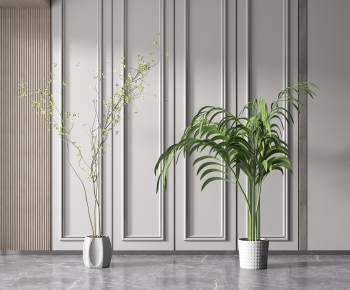 Modern Potted Green Plant-ID:299940111