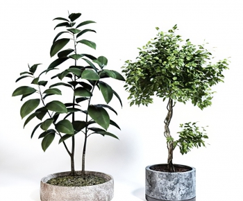 Modern Potted Green Plant-ID:651832105