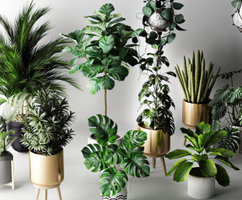 Modern Potted Green Plant-ID:764456033