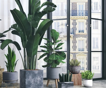 Modern Potted Green Plant-ID:385179537