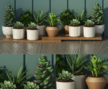 Modern Potted Green Plant-ID:312383892