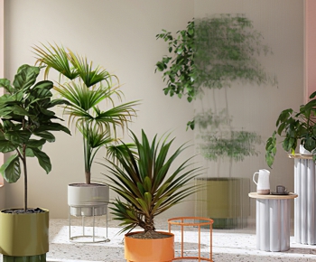 Modern Potted Green Plant-ID:498883967