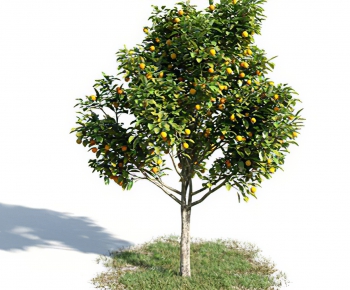 Modern Tree-ID:827807907