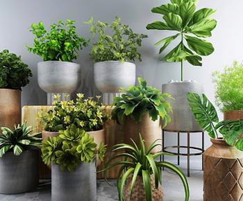 Modern Potted Green Plant-ID:147836925