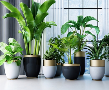Modern Potted Green Plant-ID:209124093