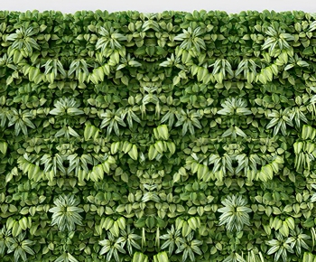 Modern Plant Wall-ID:500590822