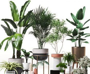 Modern Potted Green Plant-ID:498424059