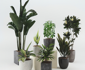 Modern Potted Green Plant-ID:102449899