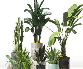 Modern Potted Green Plant-ID:694267995