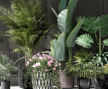 Modern Potted Green Plant-ID:315570127