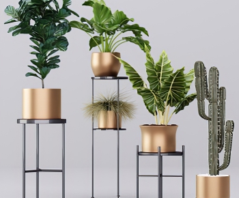 Modern Potted Green Plant-ID:785886057