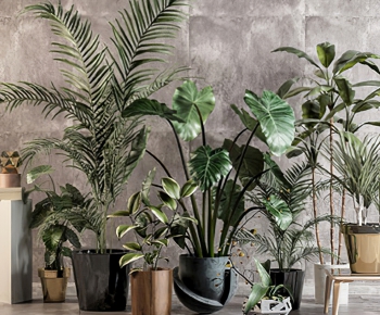 Modern Potted Green Plant-ID:738649434