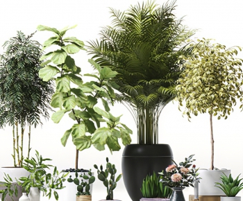 Modern Potted Green Plant-ID:373358013