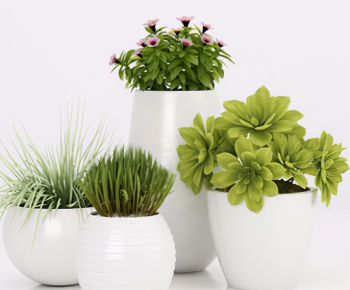 Modern Potted Green Plant-ID:233169081