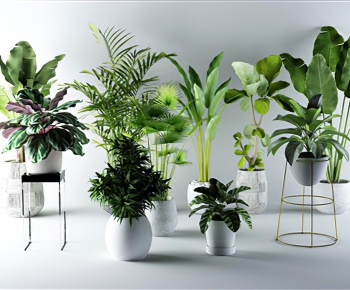 Modern Potted Green Plant-ID:412478927