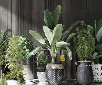 Modern Potted Green Plant-ID:321197994